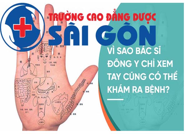 Tìm hiểu về phương pháp bắt mạch trong Y học cổ truyền